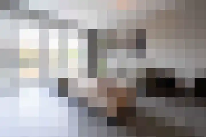 De Reuzelaar 22 Hoeven thumbnail 10