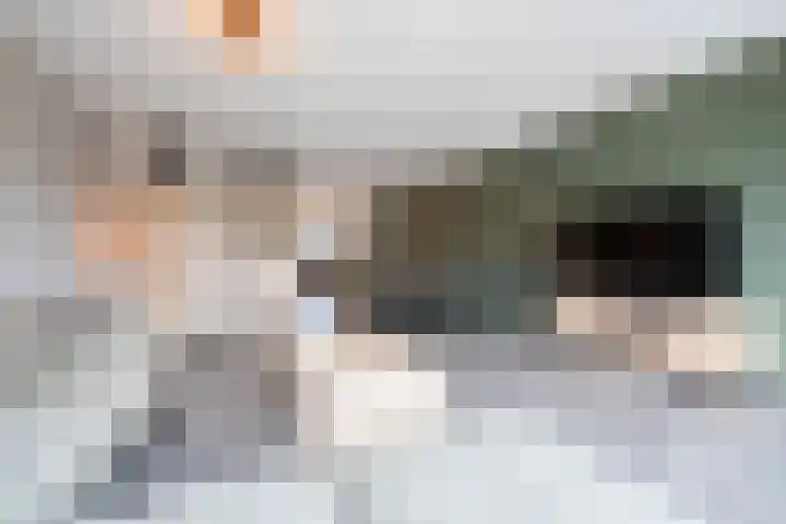 De Reuzelaar 22 Hoeven thumbnail 11