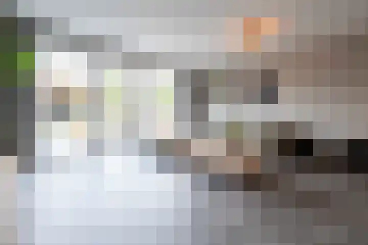 De Reuzelaar 22 Hoeven thumbnail 12