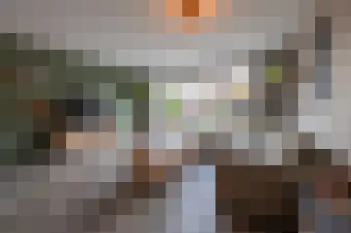 De Reuzelaar 22 Hoeven thumbnail 13