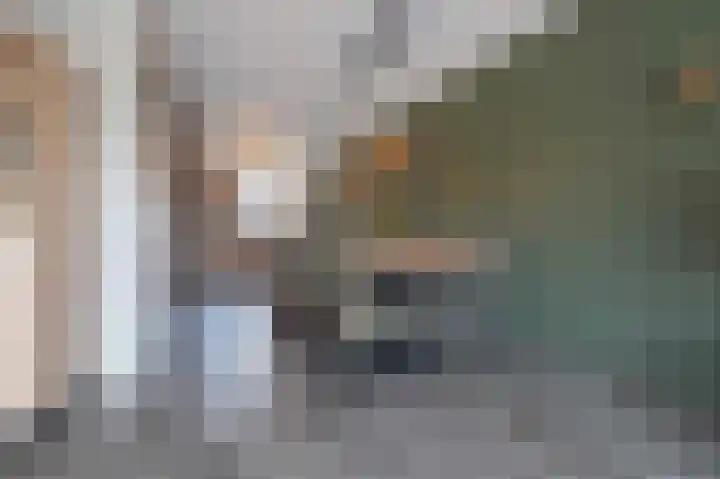 De Reuzelaar 22 Hoeven thumbnail 14