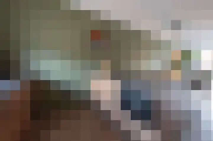 De Reuzelaar 22 Hoeven thumbnail 19