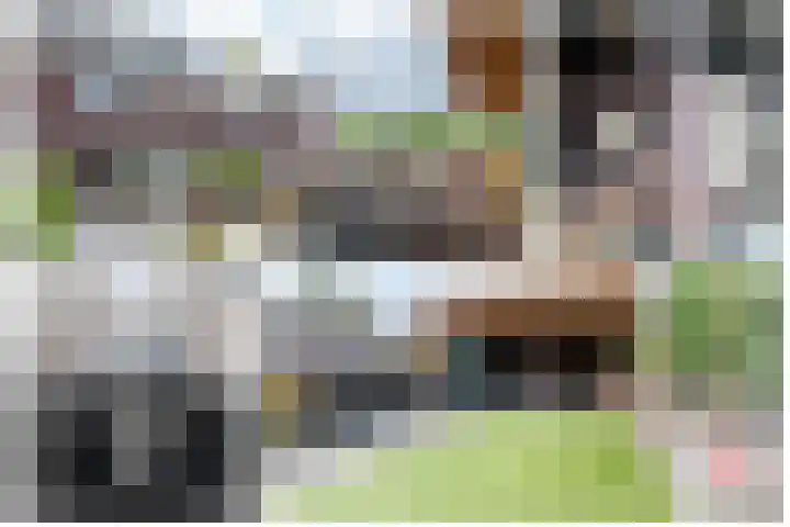 De Reuzelaar 22 Hoeven thumbnail 20
