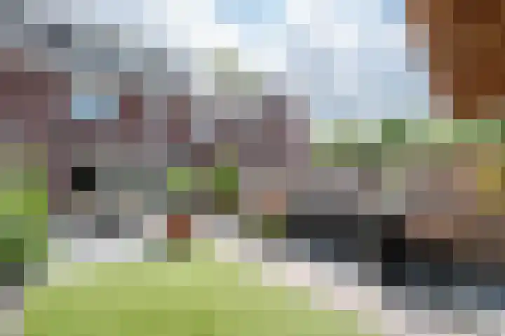 De Reuzelaar 22 Hoeven thumbnail 21