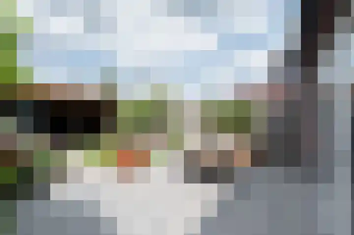 De Reuzelaar 22 Hoeven thumbnail 22
