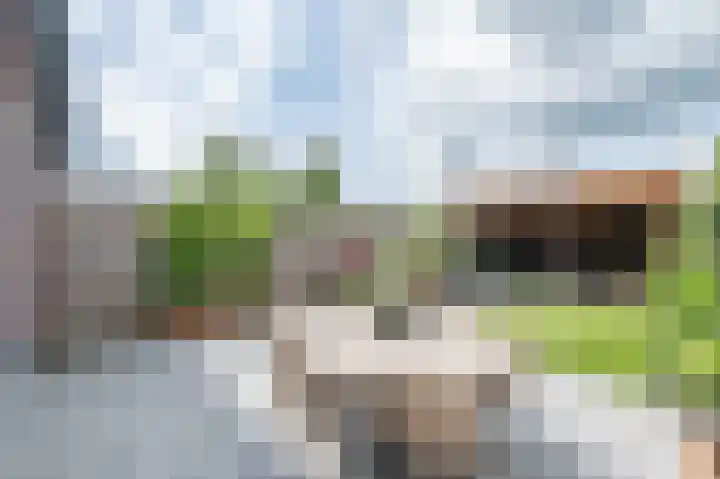 De Reuzelaar 22 Hoeven thumbnail 23