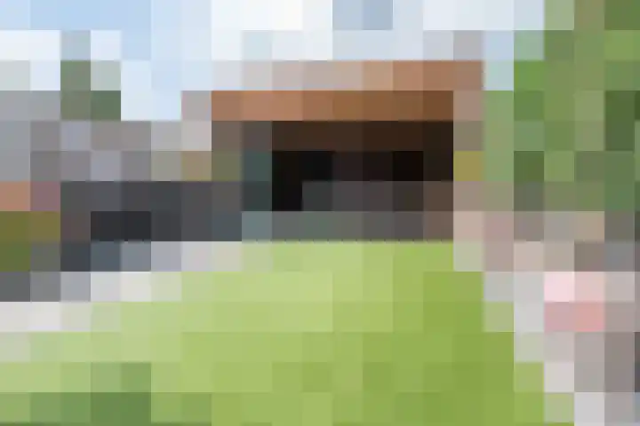 De Reuzelaar 22 Hoeven thumbnail 24