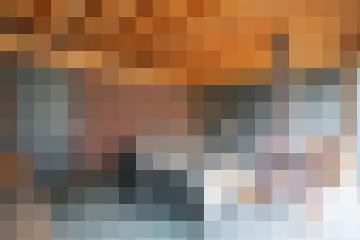 De Reuzelaar 22 Hoeven thumbnail 26