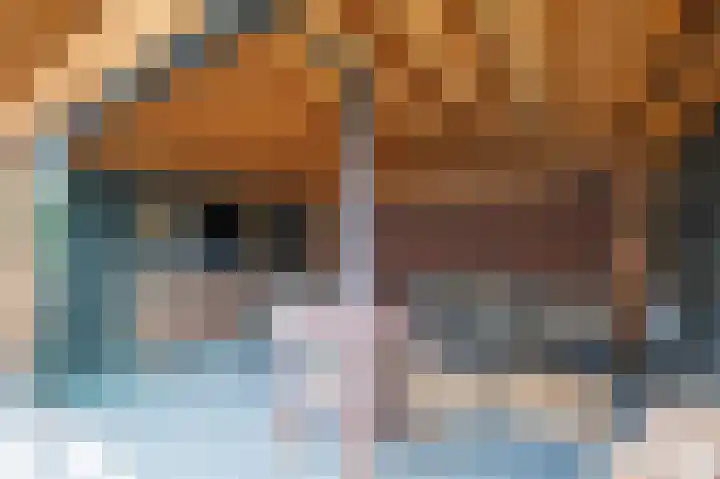 De Reuzelaar 22 Hoeven thumbnail 27