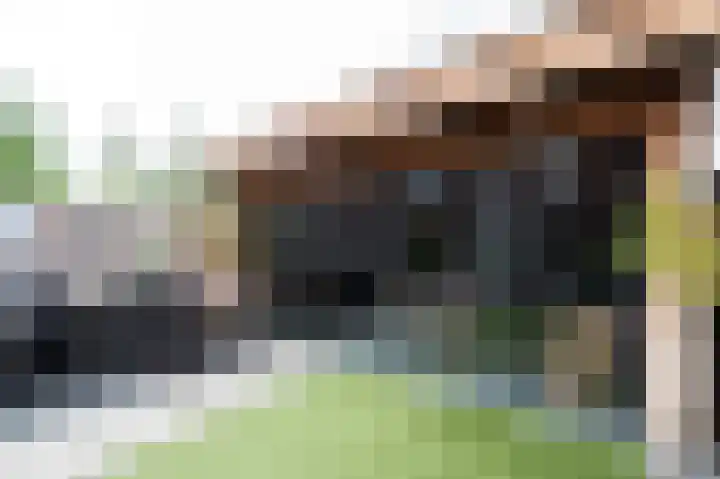 De Reuzelaar 22 Hoeven thumbnail 29