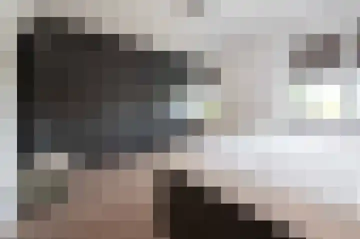 De Reuzelaar 22 Hoeven thumbnail 33