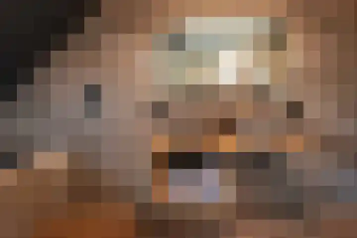 De Reuzelaar 22 Hoeven thumbnail 37