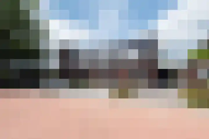 De Reuzelaar 22 Hoeven thumbnail 4