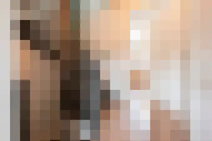De Reuzelaar 22 Hoeven thumbnail 42