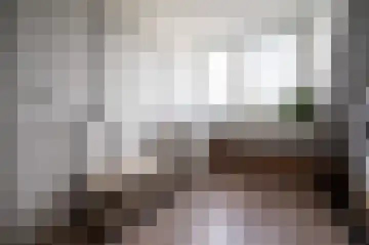 De Reuzelaar 22 Hoeven thumbnail 44