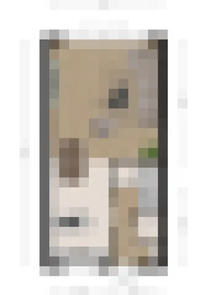 De Reuzelaar 22 Hoeven thumbnail 47