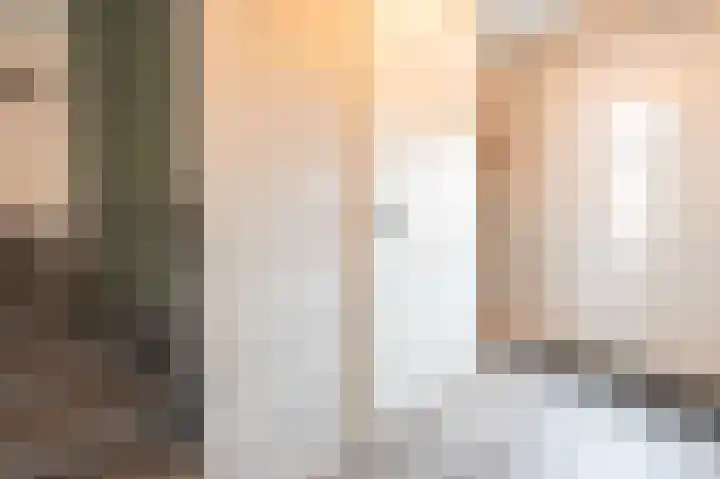 De Reuzelaar 22 Hoeven thumbnail 7