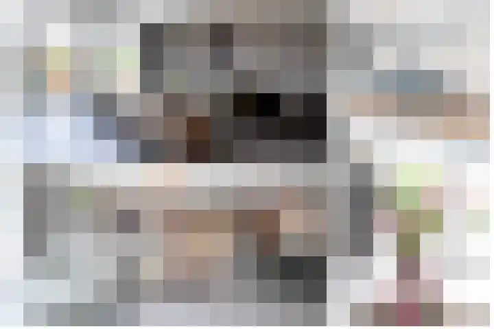 De Reuzelaar 22 Hoeven thumbnail 8