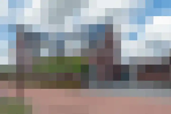 De Reuzelaar 4 in Hoeven