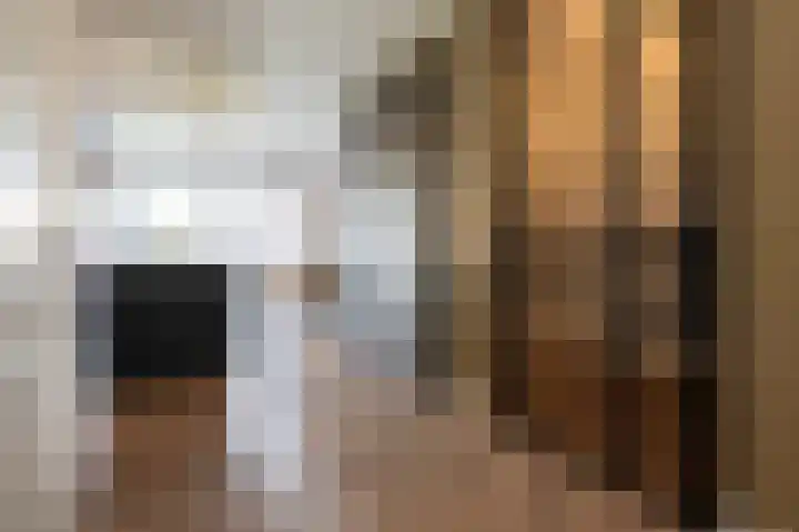 De Reuzelaar 4 Hoeven thumbnail 15