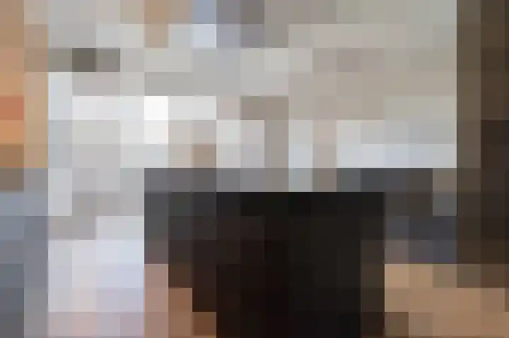 De Reuzelaar 4 Hoeven thumbnail 19