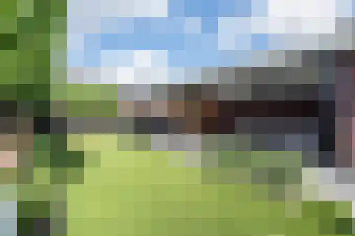 De Reuzelaar 4 Hoeven thumbnail 29