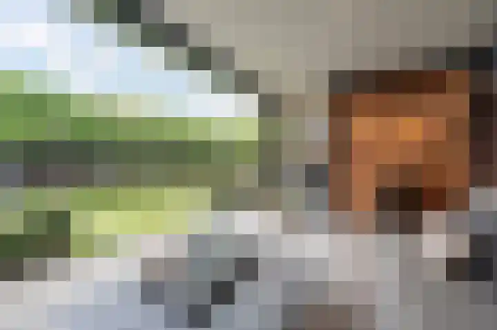 De Reuzelaar 4 Hoeven thumbnail 32