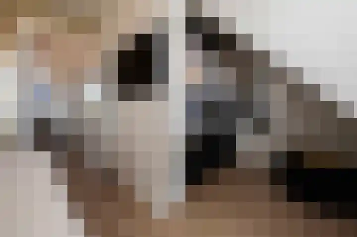 De Reuzelaar 4 Hoeven thumbnail 38