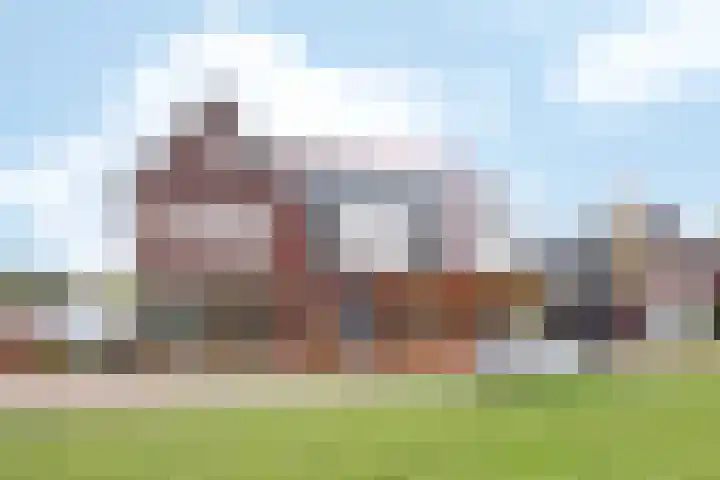 De Reuzelaar 6 Hoeven