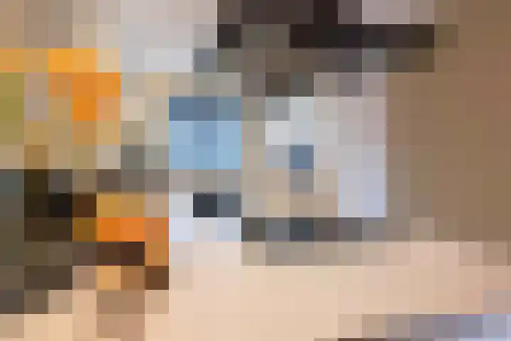 De Reuzelaar 6 Hoeven thumbnail 11