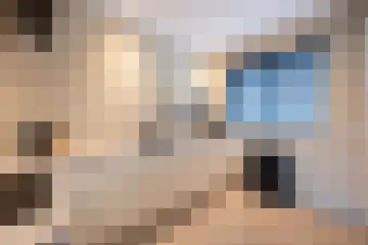 De Reuzelaar 6 Hoeven thumbnail 12