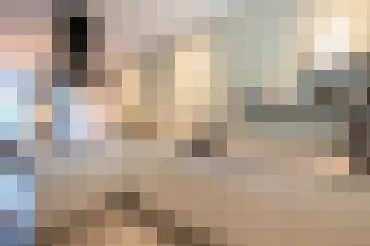 De Reuzelaar 6 Hoeven thumbnail 14