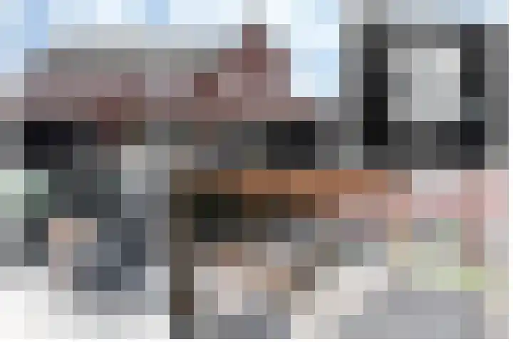 De Reuzelaar 6 Hoeven thumbnail 23