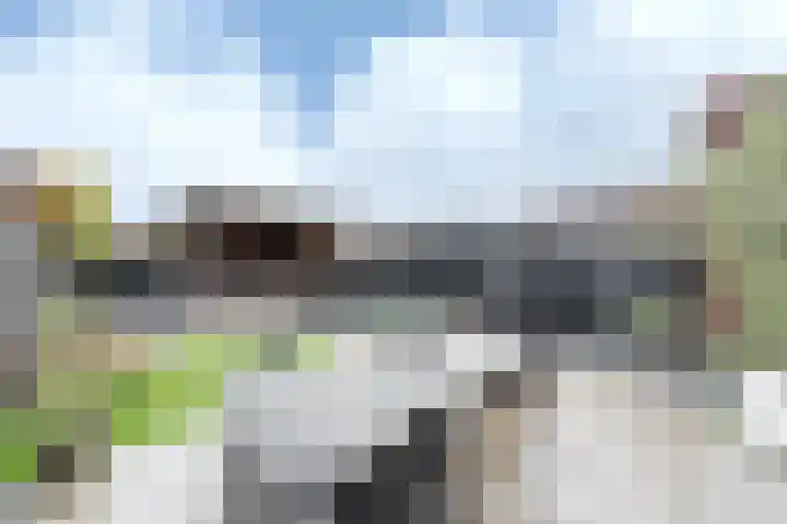De Reuzelaar 6 Hoeven thumbnail 25