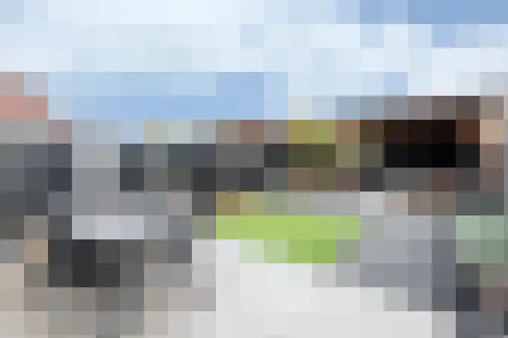 De Reuzelaar 6 Hoeven thumbnail 26