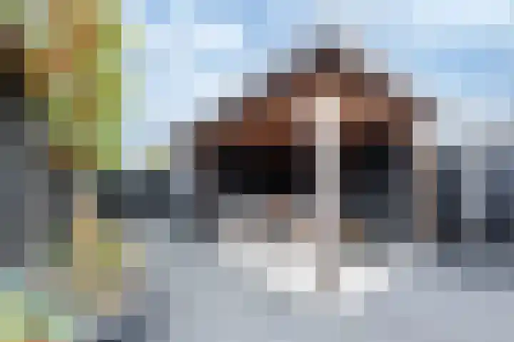 De Reuzelaar 6 Hoeven thumbnail 28