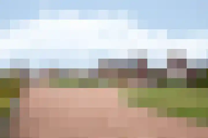 De Reuzelaar 6 Hoeven foto 3