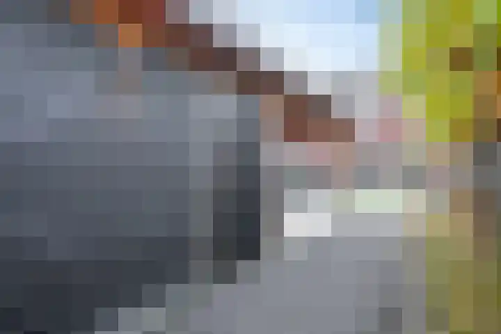 De Reuzelaar 6 Hoeven thumbnail 30