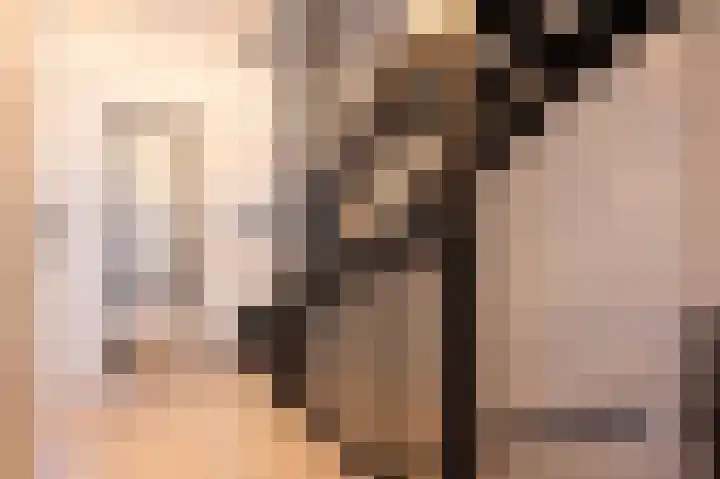 De Reuzelaar 6 Hoeven thumbnail 32