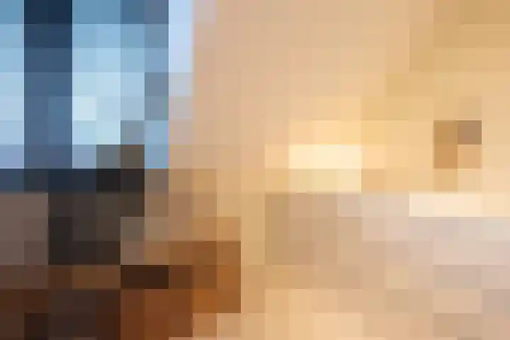 De Reuzelaar 6 Hoeven thumbnail 38