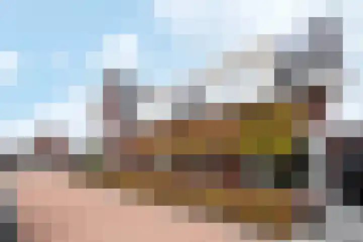 De Reuzelaar 6 Hoeven thumbnail 4