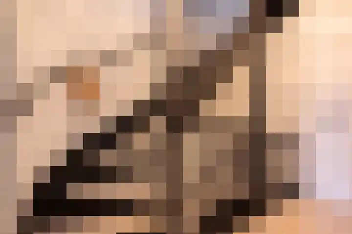 De Reuzelaar 6 Hoeven thumbnail 45