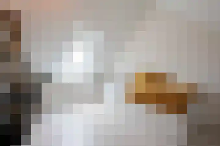 De Reuzelaar 6 Hoeven thumbnail 47