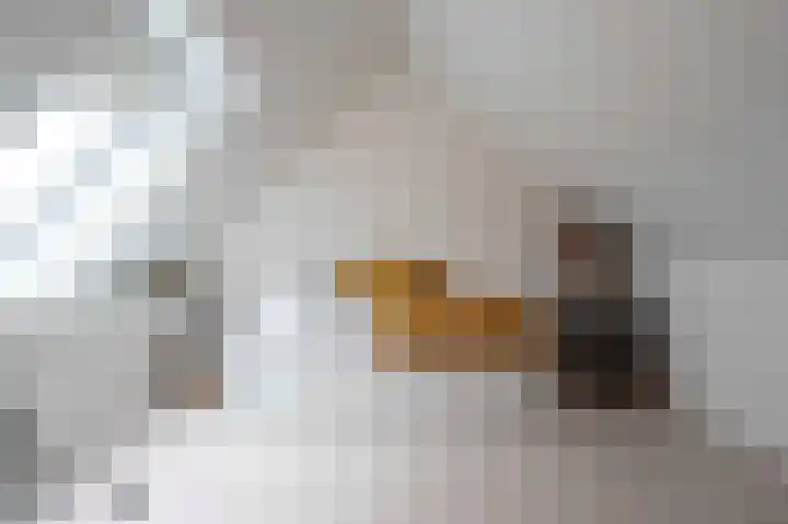 De Reuzelaar 6 Hoeven thumbnail 48