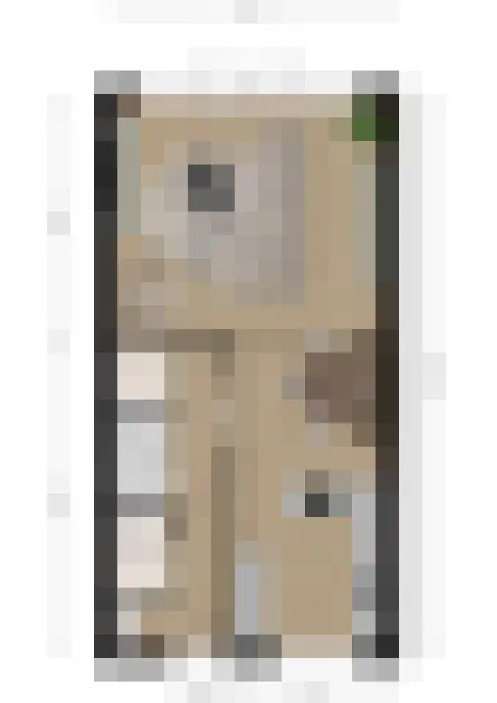 De Reuzelaar 6 Hoeven thumbnail 49