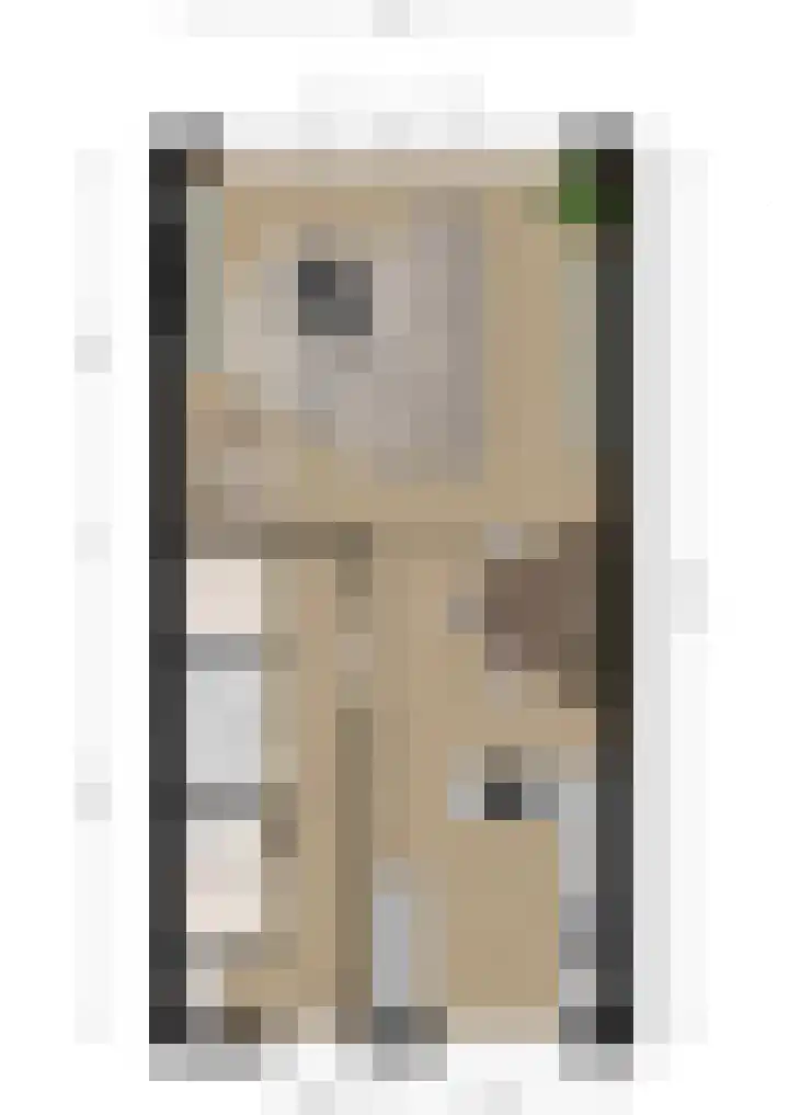 De Reuzelaar 6 Hoeven thumbnail 53