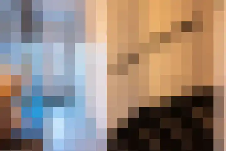 De Reuzelaar 6 Hoeven thumbnail 7