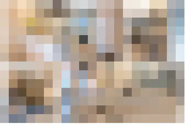 De Reuzelaar 6 Hoeven thumbnail 9