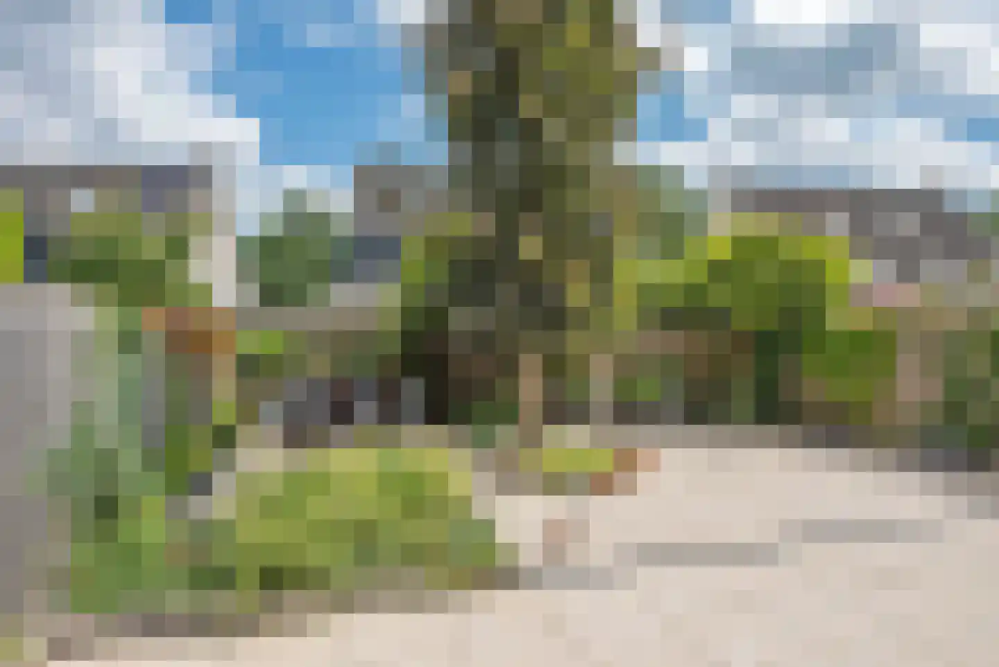 De Reuzenstern 3 Almelo thumbnail 4