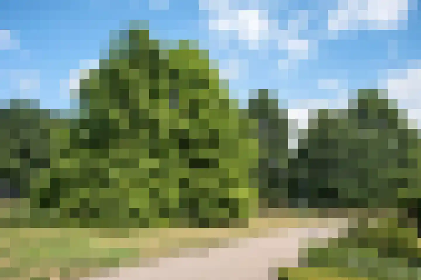 De Reuzenstern 3 Almelo thumbnail 42